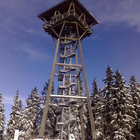Hochschwarzwald-hof 2* Schluchsee