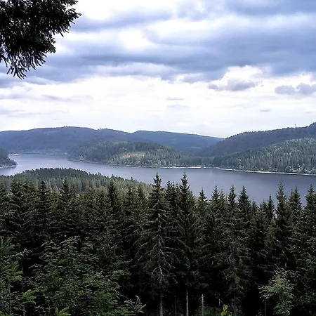 Otel Hochschwarzwald-hof Schluchsee