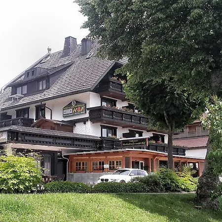 Hochschwarzwald-hof 2*