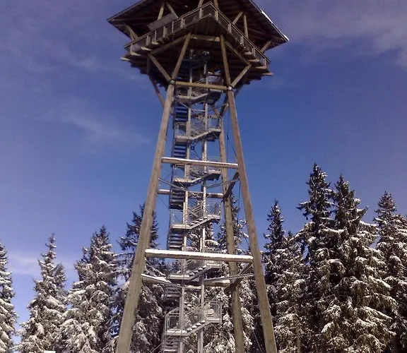 Hochschwarzwald-hof 2* Schluchsee
